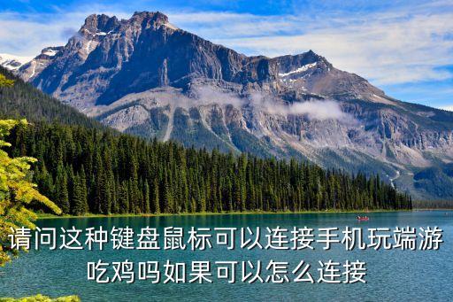 请问这种键盘鼠标可以连接手机玩端游吃鸡吗如果可以怎么连接