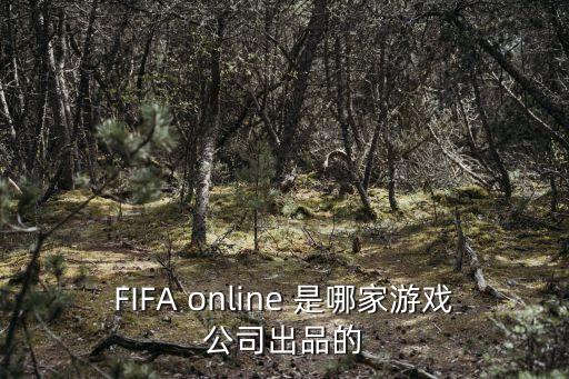 FIFA online 是哪家游戏公司出品的