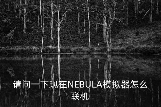 请问一下现在NEBULA模拟器怎么联机