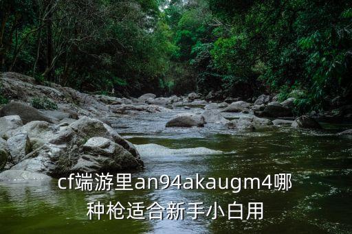 cf端游里an94akaugm4哪种枪适合新手小白用