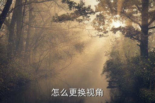 怎么更换视角