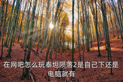 在网吧怎么玩泰坦陨落2是自己下还是电脑就有