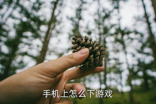 手机上怎么下游戏