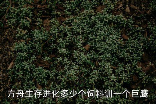 方舟生存进化多少个饲料训一个巨鹰