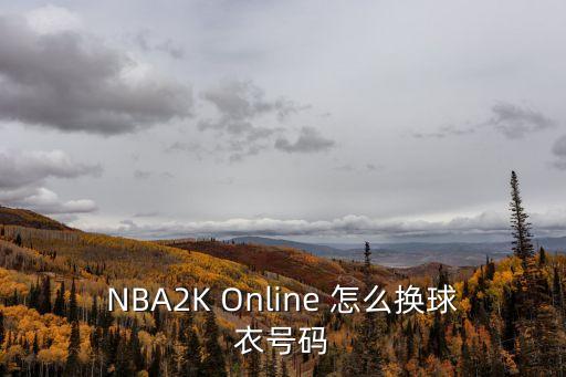 NBA2K Online 怎么换球衣号码