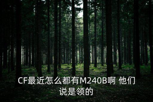 CF最近怎么都有M240B啊 他们说是领的