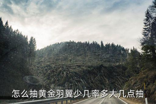 怎么抽黄金羽翼少几率多大几点抽