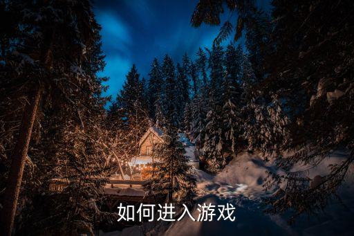 如何进入游戏