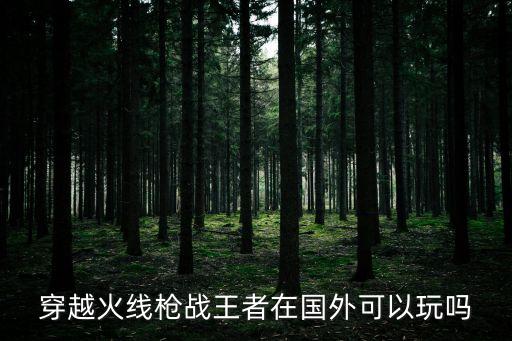 穿越火线枪战王者在国外可以玩吗