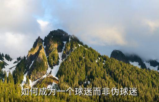 2k 20手游怎么增加球迷，如何成为一个球迷而非伪球迷