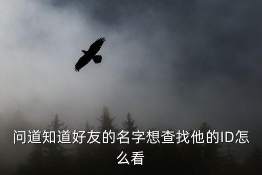 问道知道好友的名字想查找他的ID怎么看