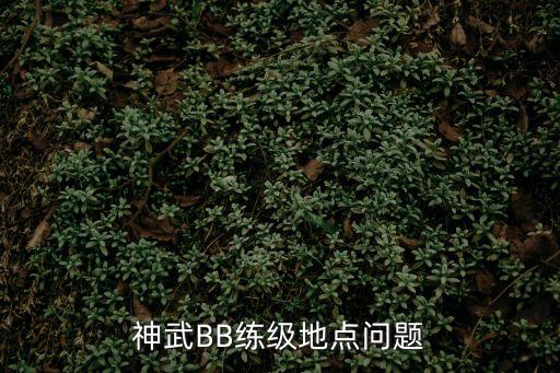 神武手游小丹山怎么家点，神武BB练级地点问题