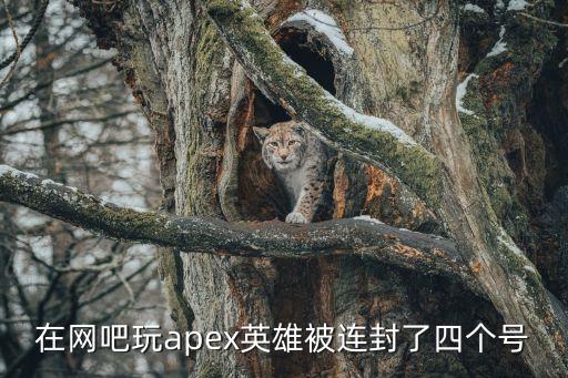 在网吧玩apex英雄被连封了四个号