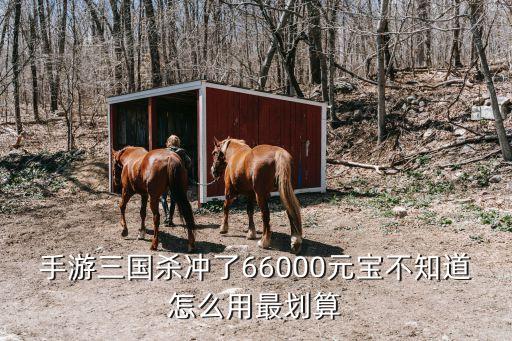 手游三国杀冲了66000元宝不知道怎么用最划算