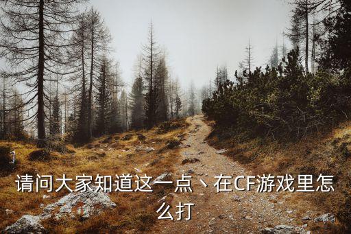 请问大家知道这一点丶在CF游戏里怎么打