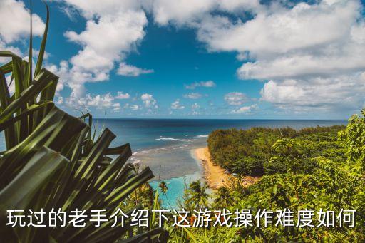 玩过的老手介绍下这游戏操作难度如何