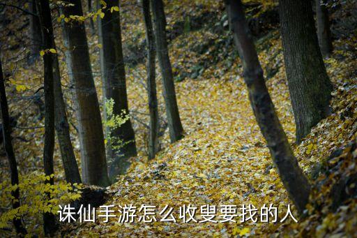 诛仙手游怎么收叟要找的人