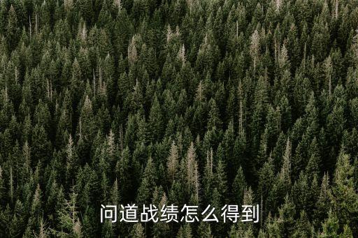 问道战绩怎么得到