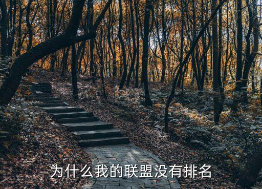 为什么我的联盟没有排名
