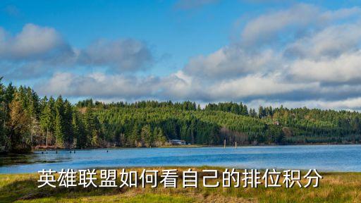 手游英雄联盟怎么看自己评分，英雄联盟如何看自己的排位积分