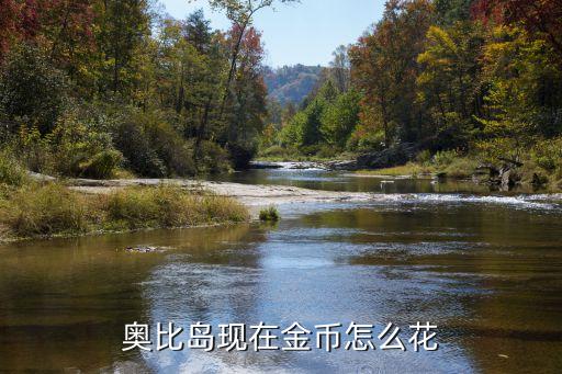 奥比岛现在金币怎么花