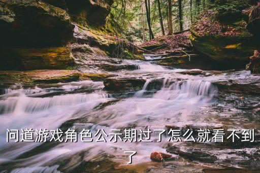 问道游戏角色公示期过了怎么就看不到了