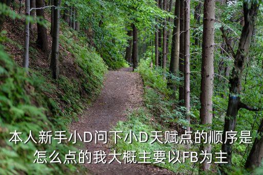 本人新手小D问下小D天赋点的顺序是怎么点的我大概主要以FB为主