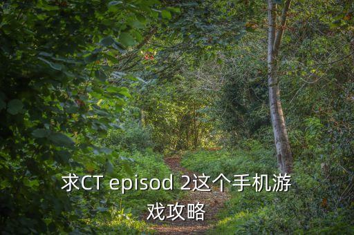 求CT episod 2这个手机游戏攻略