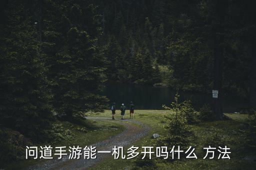 问道手游能一机多开吗什么 方法