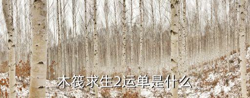 木筏求生2运单是什么