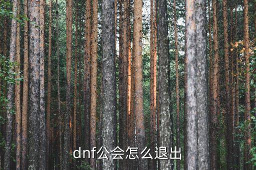 dnf手游怎么退出工会，DNF游戏中怎样退出公会