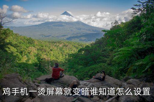 鸡手机一烫屏幕就变暗谁知道怎么设置
