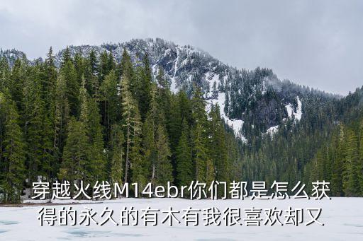 穿越火线M14ebr你们都是怎么获得的永久的有木有我很喜欢却又