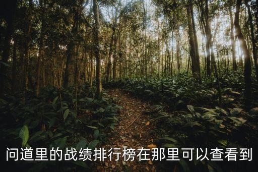 问道手游怎么查询战力排名，问道里的战绩排行榜在那里可以查看到