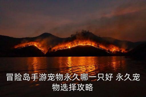冒险岛手游宠物永久哪一只好 永久宠物选择攻略