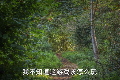 我不知道这游戏该怎么玩