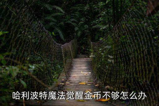 哈利波特魔法觉醒金币不够怎么办