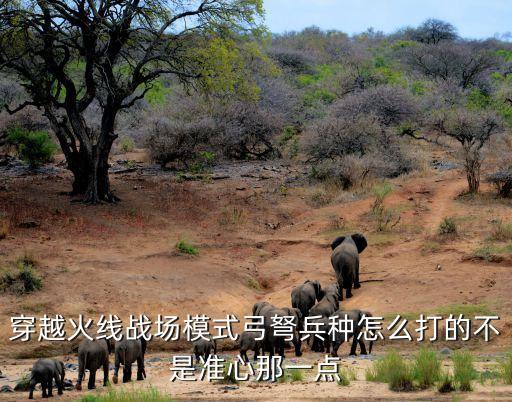 穿越火线战场模式弓弩兵种怎么打的不是准心那一点