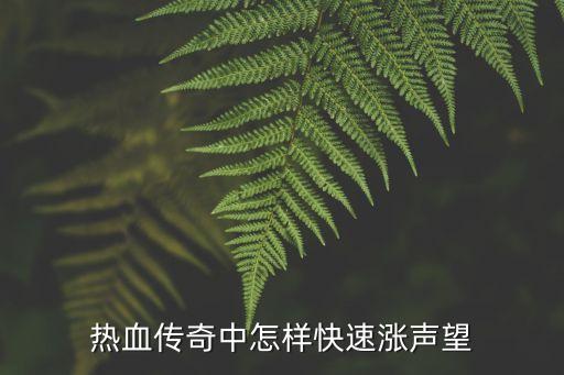 热血传奇中怎样快速涨声望