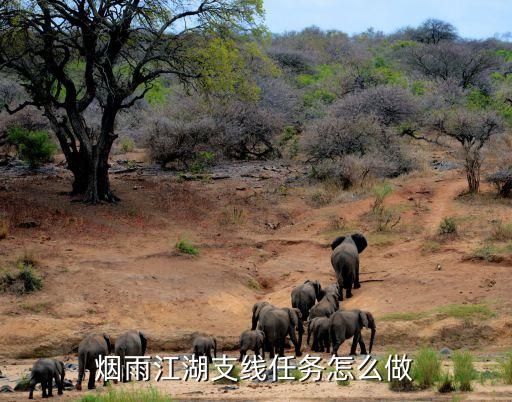 烟雨江湖支线任务怎么做