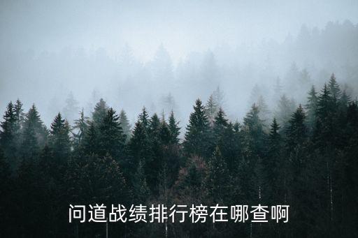 问道战绩排行榜在哪查啊
