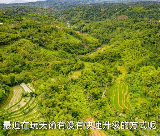 最近在玩天谕有没有快速升级的方式呢