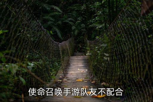 使命召唤手游队友不配合