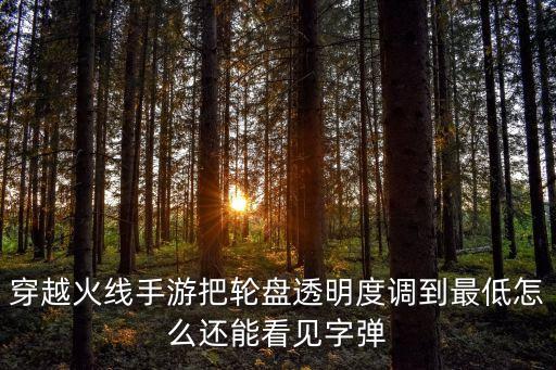 穿越火线手游把轮盘透明度调到最低怎么还能看见字弹