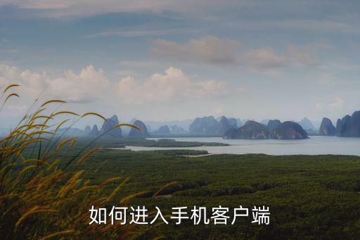 如何进入手机客户端