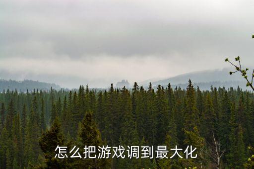 怎么把游戏调到最大化
