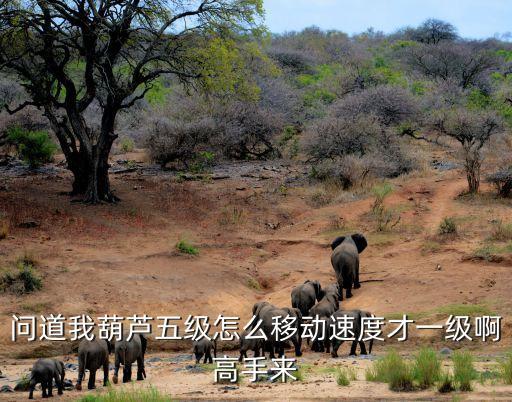 问道手游仙葫芦怎么加速度，问道手游坐骑仙葫芦怎么样 仙葫芦属性详解