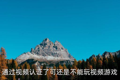 通过视频认证了可还是不能玩视频游戏
