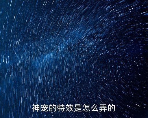 神宠的特效是怎么弄的