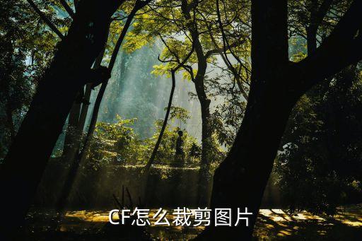 cf手游怎么切图片，CF怎么裁剪图片